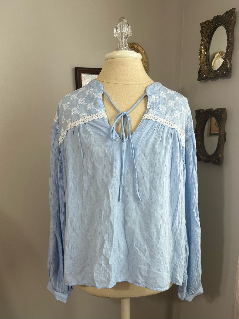 Zara Baby Blue Embroidered Peasant Tie-Front Blouse